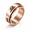 Rose Gold, variant on Men's Cat Spinner Ring, Titanium Steel Rotating Band, 8mm Fidget Ring