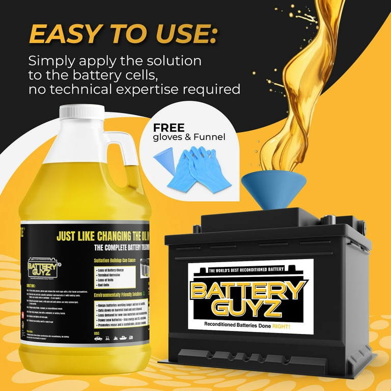 Battery Guyz Desulfator for Lead-Acid Batteries, 6V, 8V, 12V, 48V