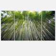 thumbnail image 2 of Design Art - Bamboo forest of Kyoto Japan., 2 of 3