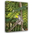 thumbnail image 1 of Lee Peterson 23x32 Gallery Wrapped Canvas Wall Art Titled - Hummingbird I, 1 of 4