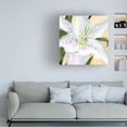 thumbnail image 3 of Annie Warren 'White Lily I' Canvas Art, 3 of 3