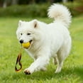 thumbnail image 3 of Durable EVA Interactive Toy for Dogs to Boredom and Support Cleaning Outdoor Indoor Use, 3 of 5