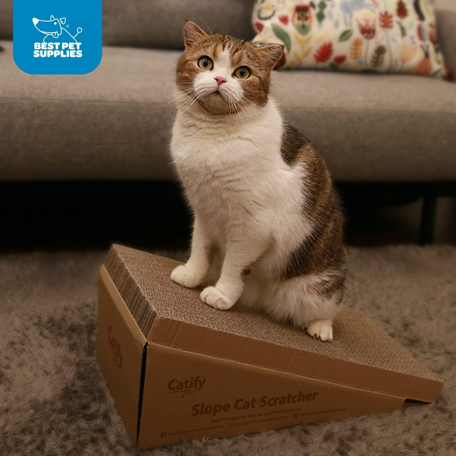 Best Pet Supplies Catify Slope Cat Scratch Pad, Cat Cardboard Scratcher with Catnip, 2-Pack