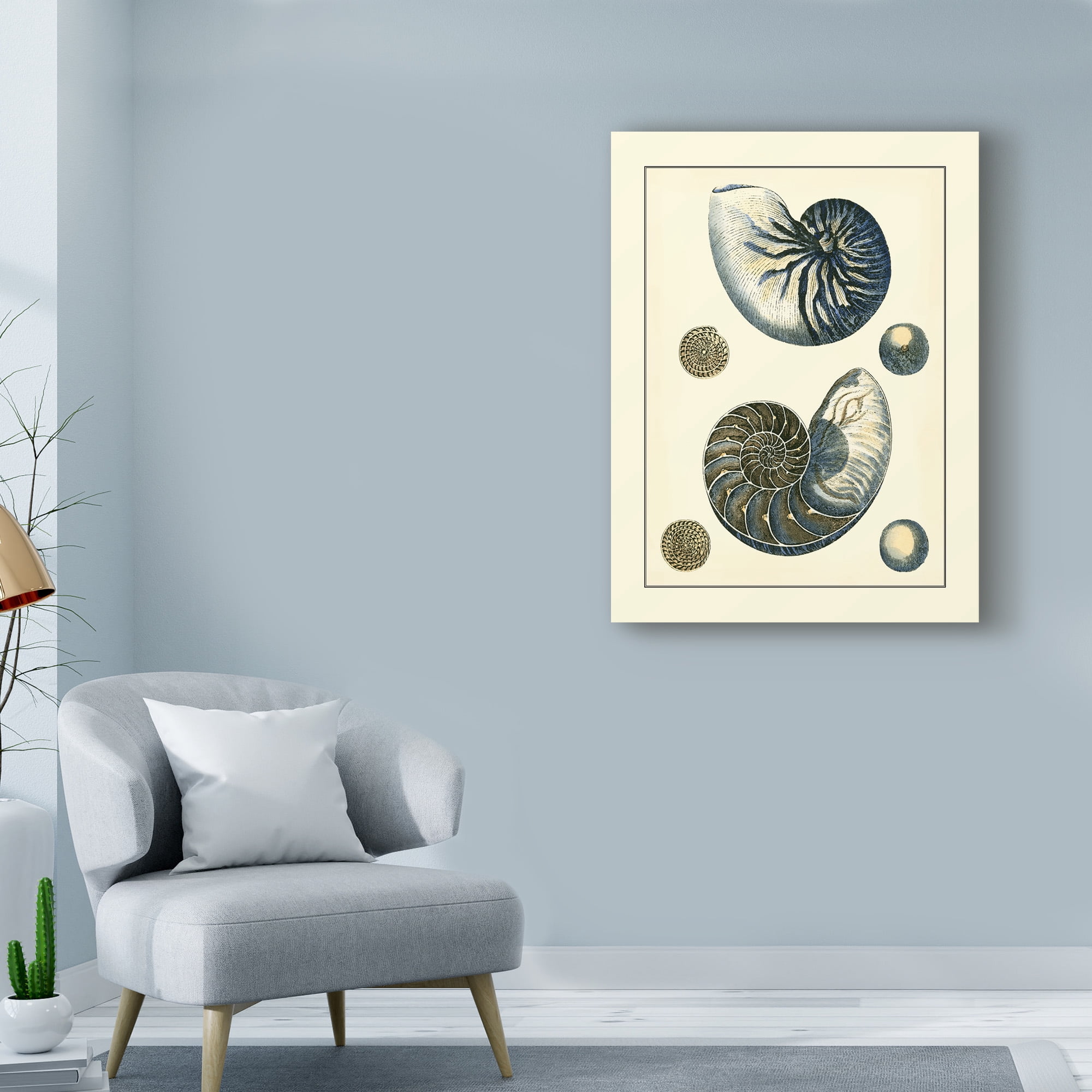Trademark Fine Art 'Antique Blue Nautilus' Canvas Art by Vision Studio