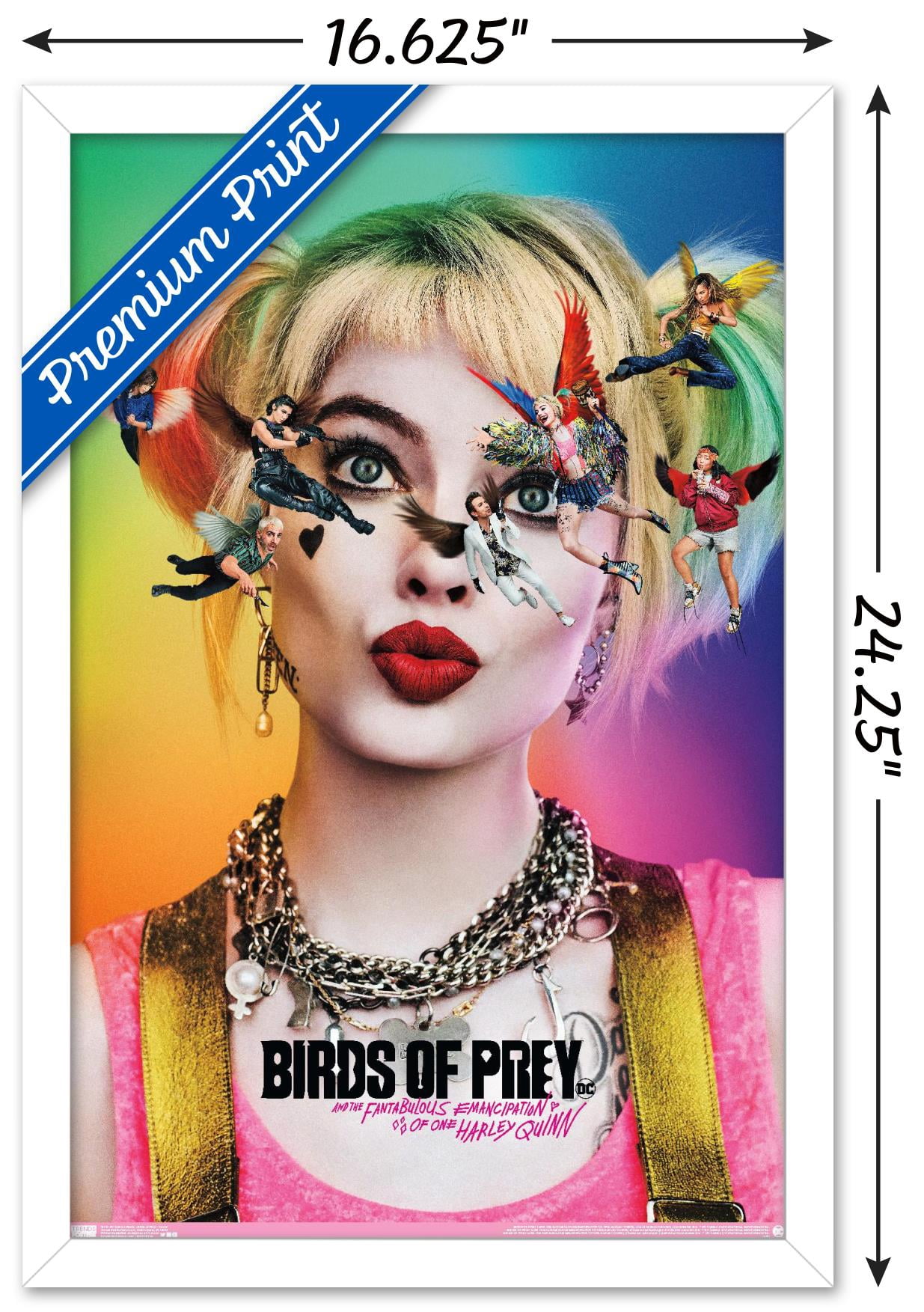 DC Comics Movie - Birds Of Prey - Teaser Wall Poster, 14.725" x 22.375", Framed