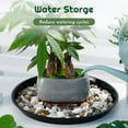 thumbnail image 3 of urorentea 6 Pack 16 inch Large Plant Saucers, Plastic Durable Plant Pot Tray, Heavy Duty Flower Plant Pot Saucers Drip Tray for Indoors Outdoors, 3 of 7