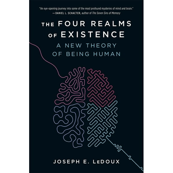 The Four Realms of Existence: A New Theory of Being Human, (Paperback)