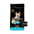 thumbnail image 2 of Alimento para perros Ganador Premium Adulto 20KG Razas Pequeñas, 2 of 4