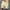 Beige Athletic Shorts, variant on HOOMEUMY Men's Summer Beach Shorts Set Two Piece Outfits Tracksuit T-Shirt Shorts Jogger Sport Suit Activewear Black Beige XXXXL