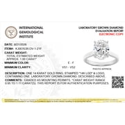 FireBorn Diamonds Fireborn IGI Certified Oval-Shaped Diamond Engagement Ring For Women, Cathedral… — $806.25 (34% off)