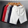 thumbnail image 1 of Pantalones cortos de verano para hombre, de malla de seda de hielo, de secado rápido, transpirables, sueltos, deportivos, informales, grandes, 1 of 5