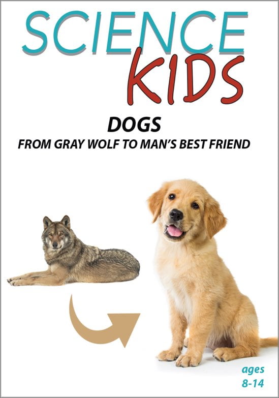 Dogs from gray wolf to man's best friend. cover