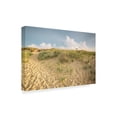 thumbnail image 2 of Trademark Fine Art 'First Landing Dunes IV' Canvas Art by Adam Mead, 2 of 4