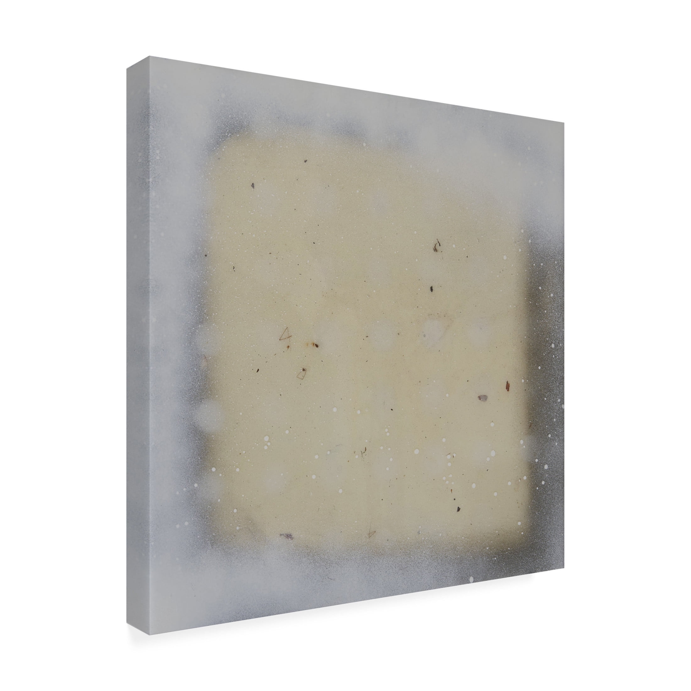 Trademark Fine Art Erin McGee Ferrell Polka Squares V Canvas Wall Art