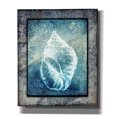 thumbnail image 1 of Epic Graffiti 'Hello Beach Shell II' by Lightbox Journal, Canvas Wall Art, 20"x24", 1 of 8