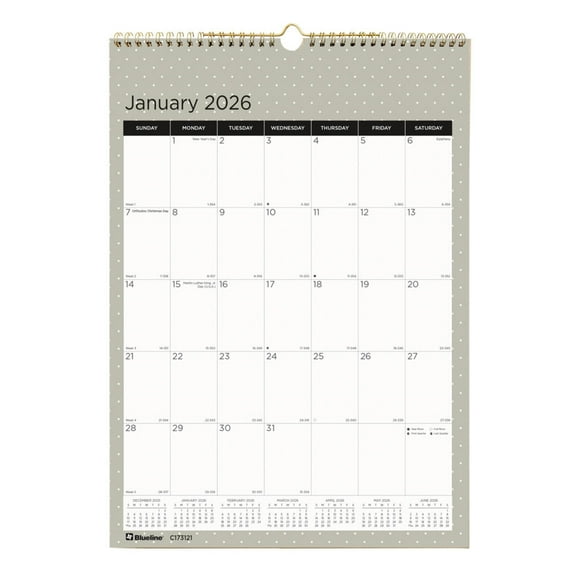 2026 Blueline Colorful Monthly Wall Calendar, 12" x 17", Minimalist, January To December, C173121