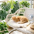 thumbnail image 3 of ZZHZGZ Canada Sale Tapis à Griffer pour Chat avec Lit Intégré Lavable pour Chats, 3 of 8