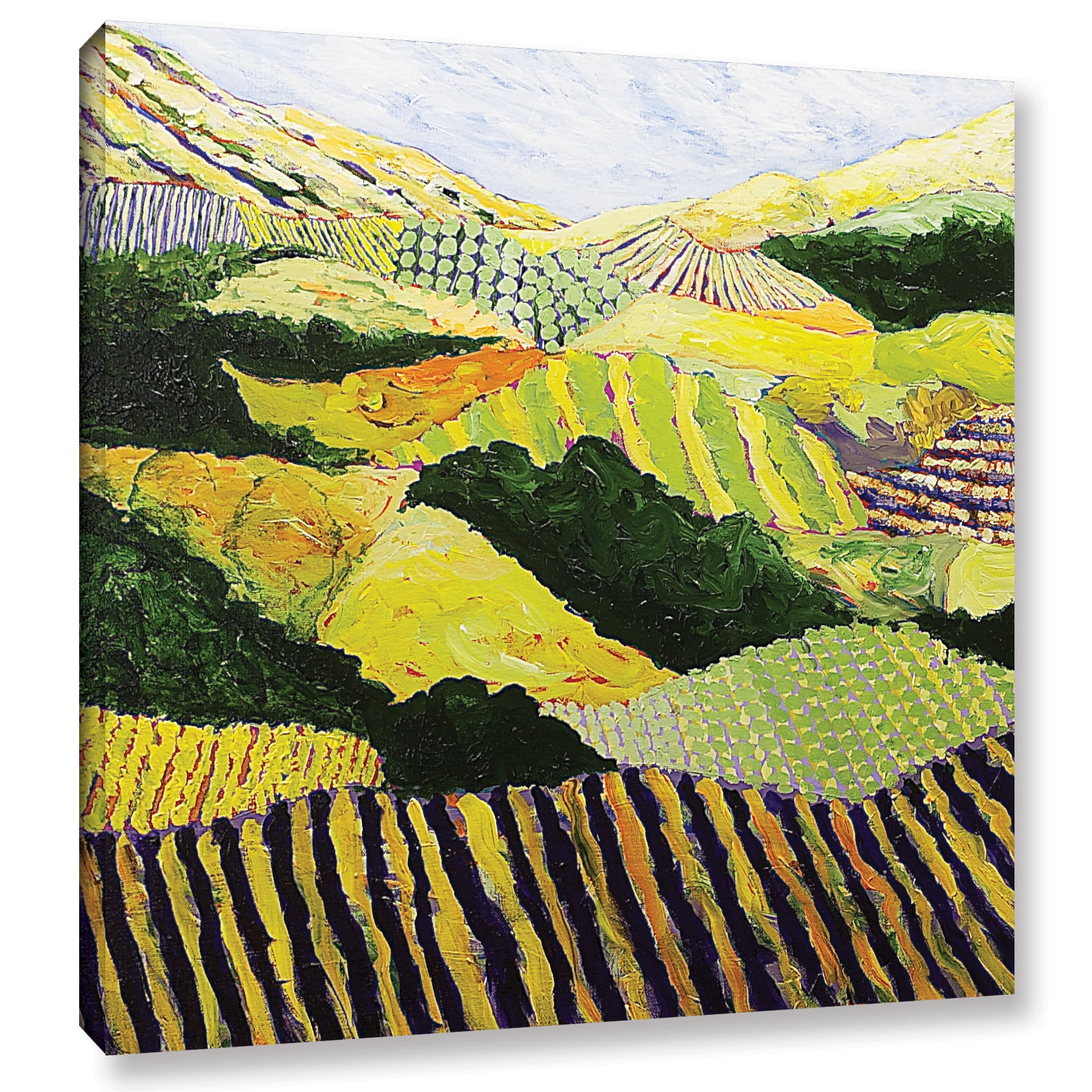 ArtWall Allan Friedlander "Delta Fields" Gallery-Wrapped Canvas