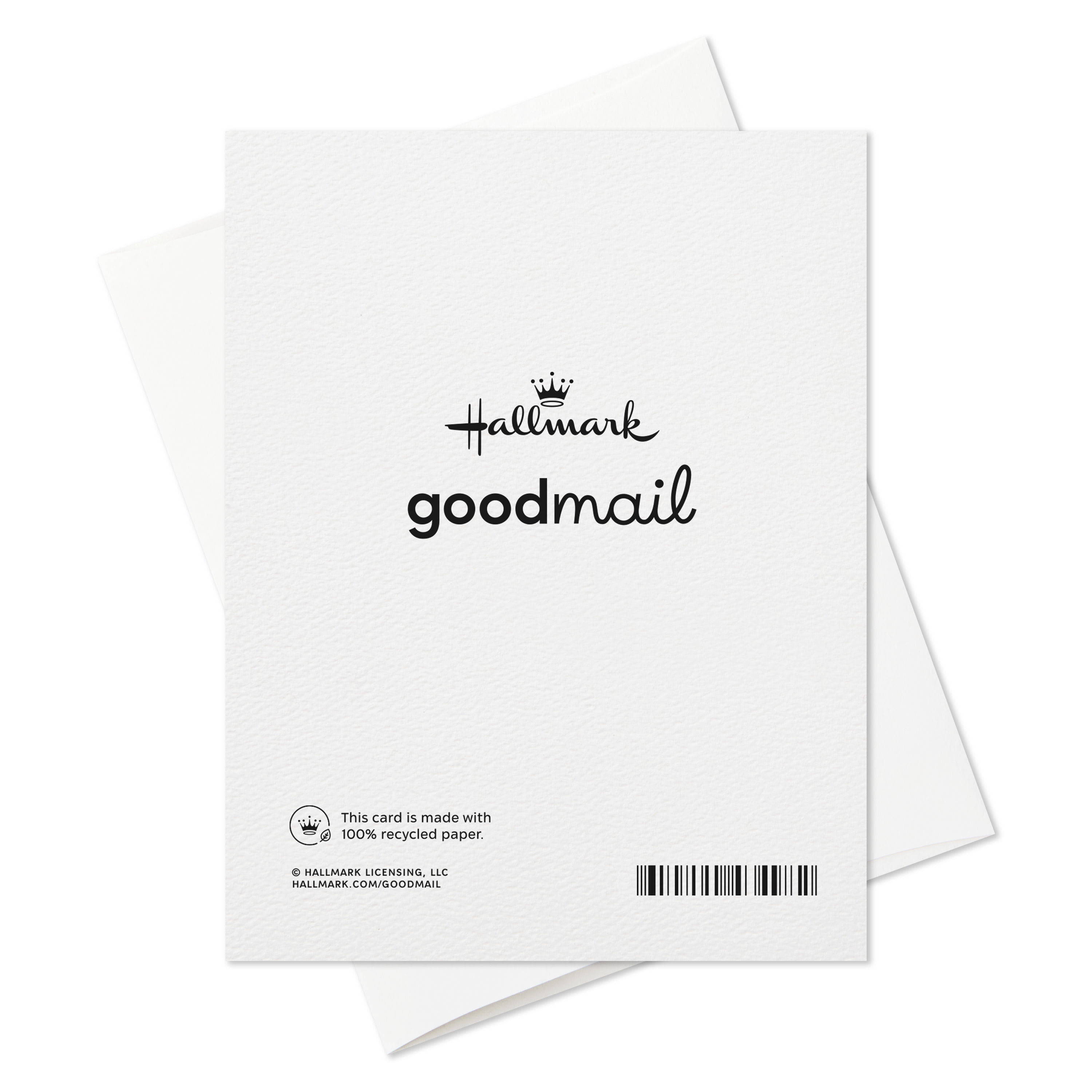 Hallmark Good Mail Birthday Card (Happy Everything)