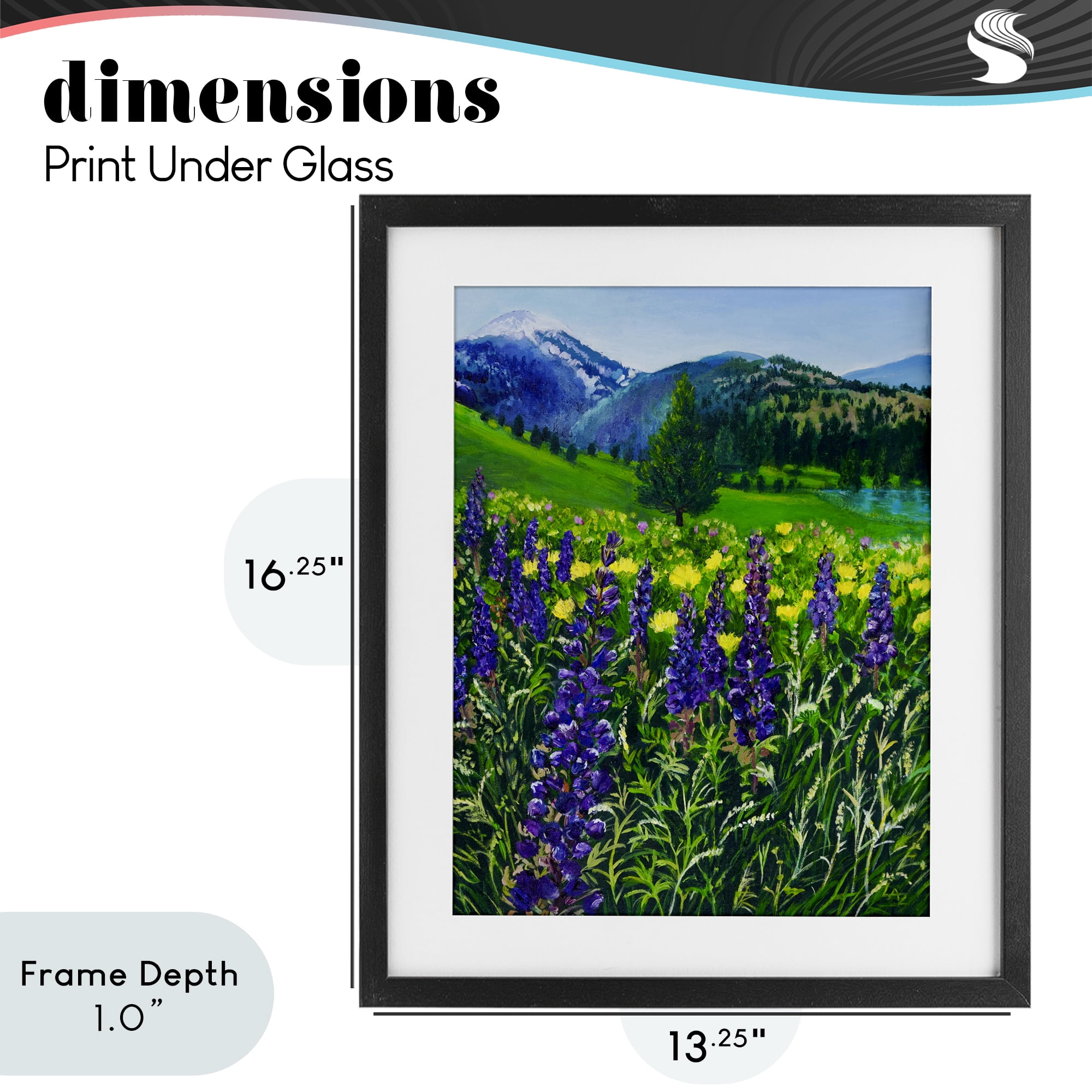 Stupell Industries Flower Speckled Valley Black Framed Print Under Glass, design by Lee Ann Zirbes