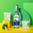 thumbnail image 4 of Jose Cuervo Especial Silver Tequila, 40% ABV, 80 Proof, 1 Count, 1 L Glass Bottle, 4 of 13