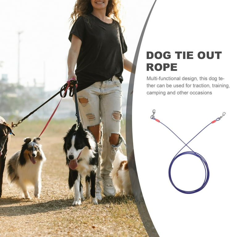Multiple dog tie out chain hot sale