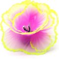 thumbnail image 3 of Decorative Resin Coral for Aquarium - Glowing Effect - Purple, 3 of 5