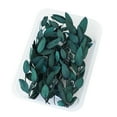 thumbnail image 2 of Visland 1 Box Real Mix Dried Flowers for Resin Jewellery Dry Plants Pressed Flowers Making Craft DIY Accessories, 2 of 7