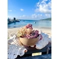 thumbnail image 3 of SeaMoss Boss Canouan | Dried 8oz Full Spectrum sea Moss | Ocean harvested and Sun-Dried in The Remote Grenadine Islands | Makes 120oz sea Moss Gel, 3 of 4