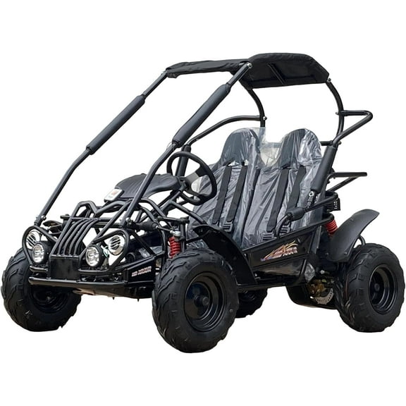 TRAILMASTER Mid XRX/R - Deluxe Go Kart Buggy with Reverse, Full roll cage and Safety Harness, Ages 10 and up, 196 CC Electric Start. (Black)