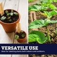 thumbnail image 5 of Harris Seeds Smooth Wooden Plant Labels 8 x 5/8 Inch, Untreated Garden Markers, 500 Count, 5 of 7