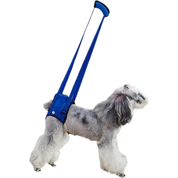 UOSIA Dog Lift Harness Pet Support and Rehabilitation Sling Dog Rear Leg Support Lifting Brace,Blue,L