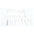 thumbnail image 7 of YAMB Halloween Pumpkin Teeth Decor Kit, Mini Fangs and Flat Teeth, Reusable Pin-In Design, For Pumpkin Carving and Party Craft, 1.6 Inch, 7 of 7