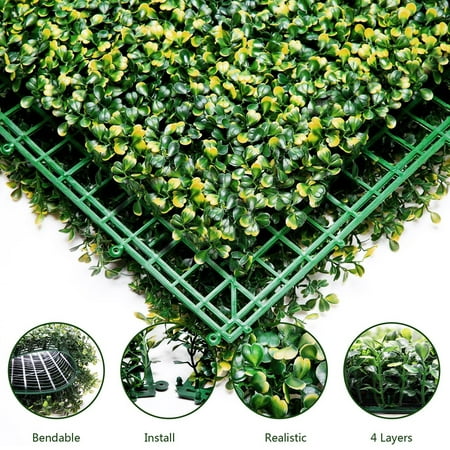boxwood coolmade