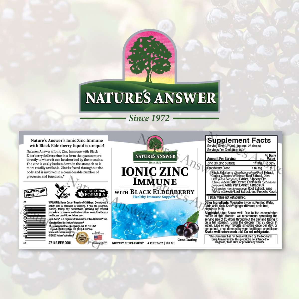 Ionic Zinc Immune with Black Elderberry Liquid 4oz