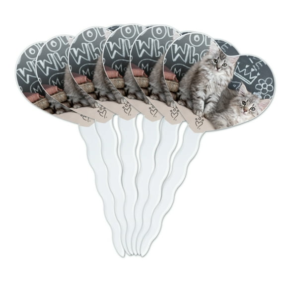 Siberian Tabby Kittens Cats School Chalkboard Learning Heart Love Cupcake Picks Toppers Decoration Set of 6