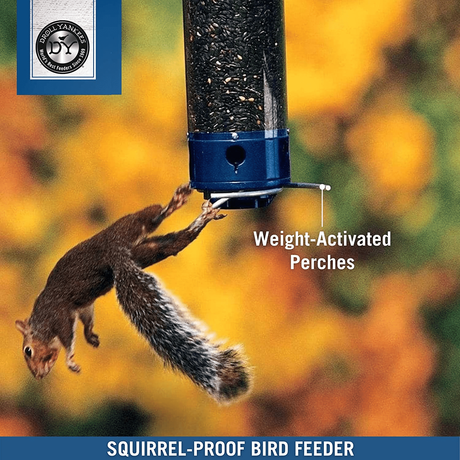 Droll Yankees Whipper Squirrel Proof Bird Feeder with Collapsible Perches 5 Lb S