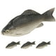 thumbnail image 1 of piezas de peces artificiales, modelos de peces falsos, modelos de peces simulados, modelos de peces realistas y naturales., 1 of 7