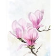 thumbnail image 3 of Parker, Jennifer Paxton 12x14 Black Modern Framed Museum Art Print Titled - Magnolia Blooms II, 3 of 5
