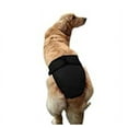 thumbnail image 6 of Running Pant, Sanitary Underpants, Pet Female Dog Golden Satsuma Sanitary Diaper Physiological Underwear Colorful Multicolored, 6 of 6