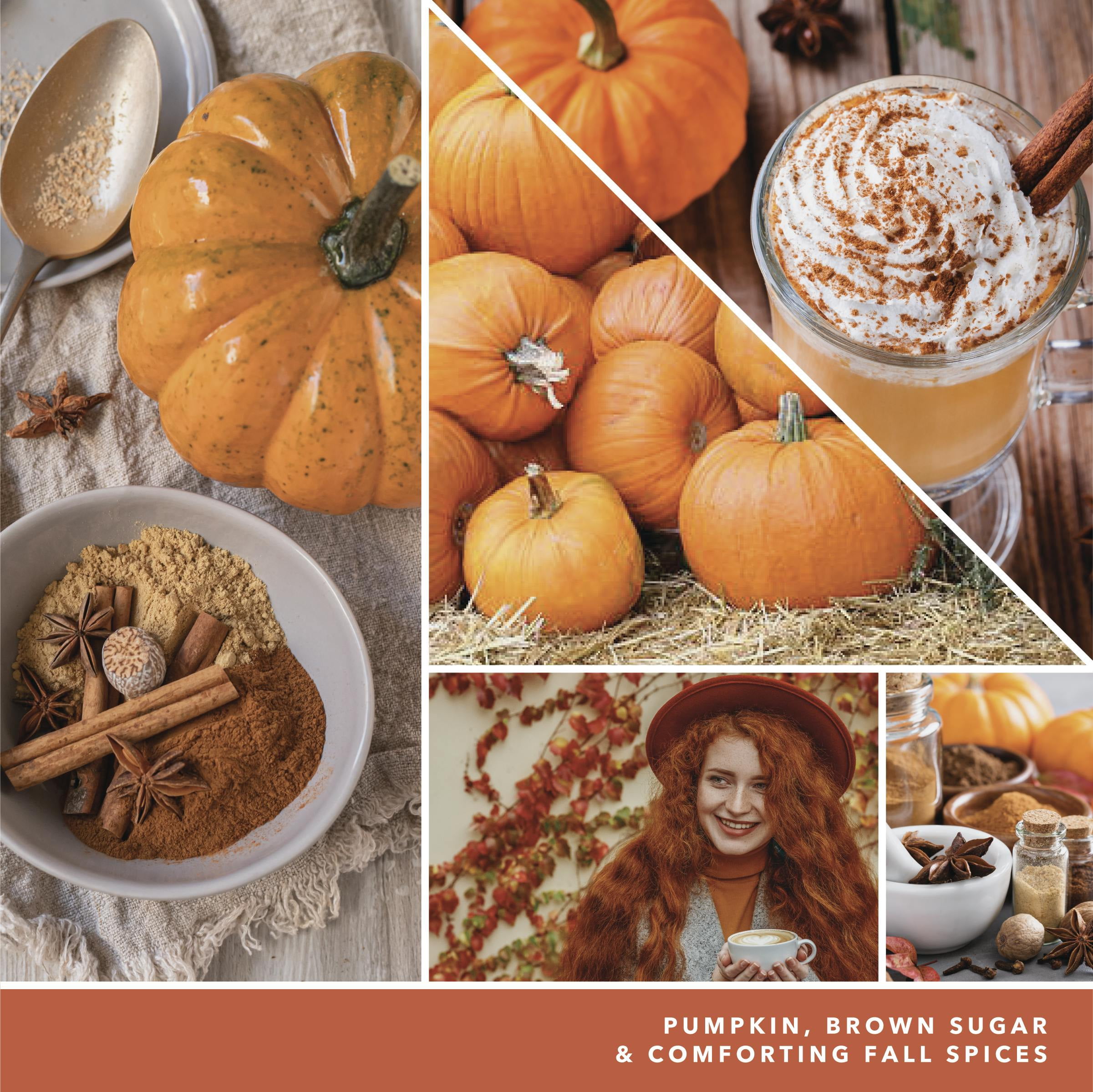 Yankee Candle Signature Large 2-Wick Candle, Spiced Pumpkin, 20 oz