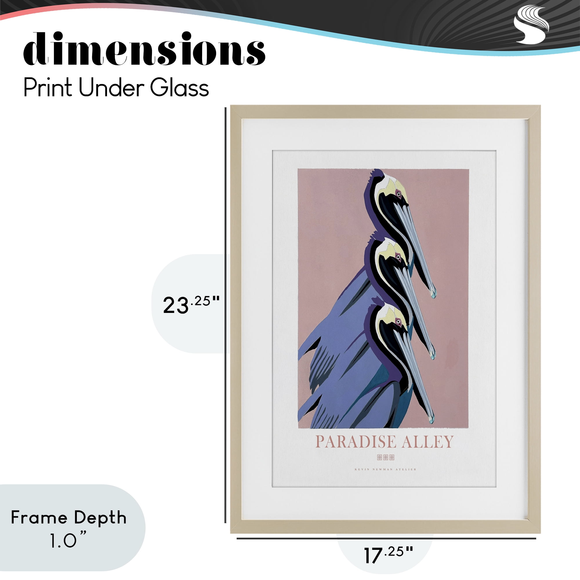 Stupell Industries Paradise Alley Pelican Trio Birch Framed Print Under Glass, design by Jadei Graphics