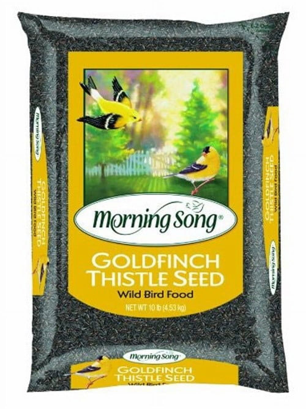 Morning Song Nyjer Seed Goldfinch Bird Seed Wild Bird Food - 3 Lbs