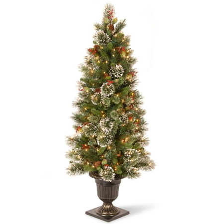 UPC 729083205514 product image for National Tree Company 5 ft. Wintry Pine(R) Entrance Tree with Clear Lights | upcitemdb.com