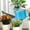 bleu, variante sur Arrosoir pour Plantes d'Intérieur Grande Capacité Arrosoir à Long Bec pour Jardin Intérieur Extérieur Fleur