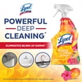 thumbnail image 3 of Lysol® All Purpose Cleaner Trigger Spray, Grease Fighting Multi Surface Cleaner, Removes Soap Scum, Brand New Day™ Mango & Hibiscus, 950 mL, 3 of 6