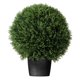 thumbnail image 1 of Bola topiaria de cedro de seda artificial Vickerman Everyday, 20 pulgadas, 1 of 7