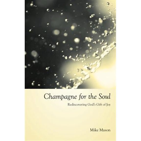 Pre-Owned Champagne for the Soul: Rediscovering God's Gift of Joy (Paperback) 1573833908 9781573833905