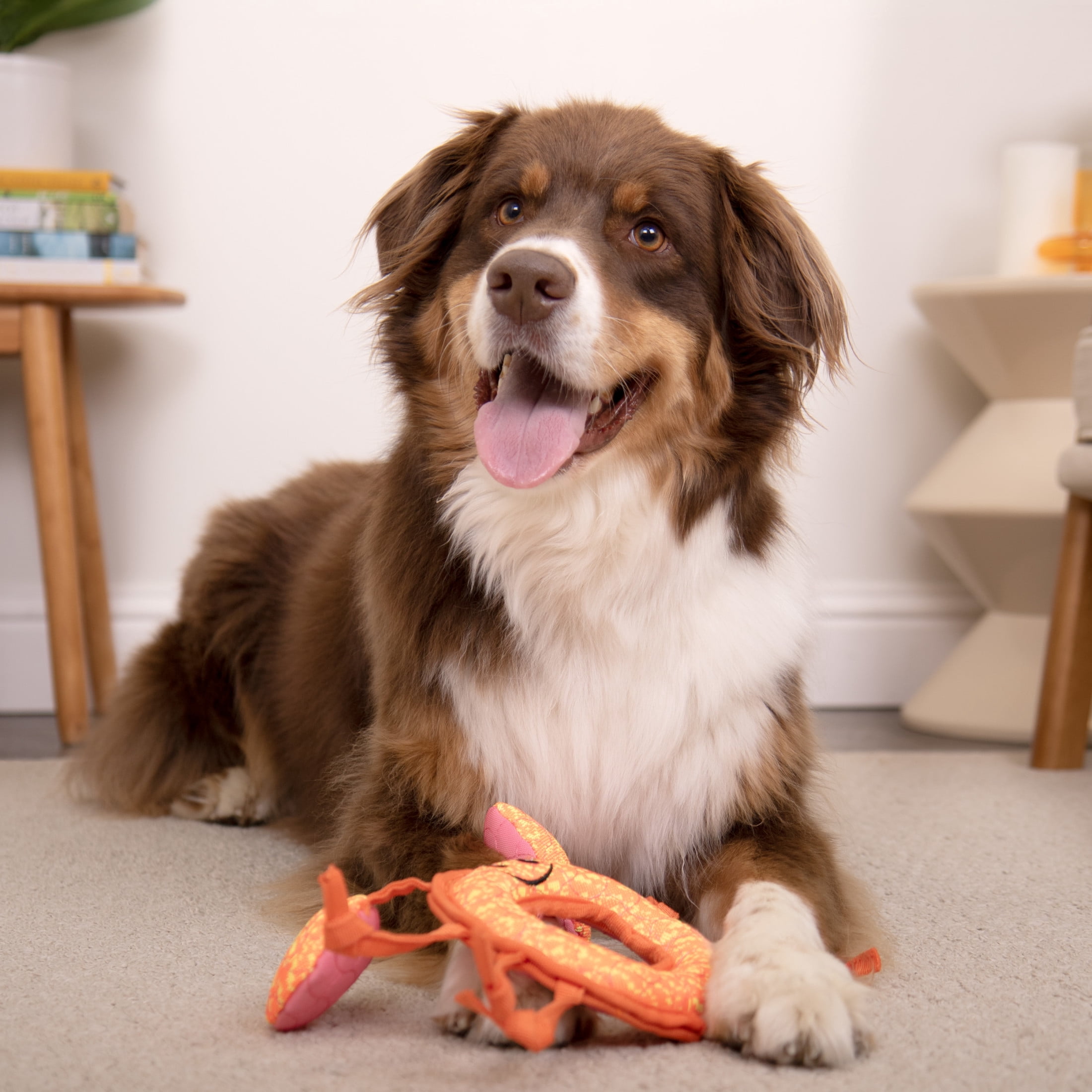 goDog Tough Guard Curtis Crab Squeaky Dog Toy, Plush with Chew Guard Technology, Orange, Large