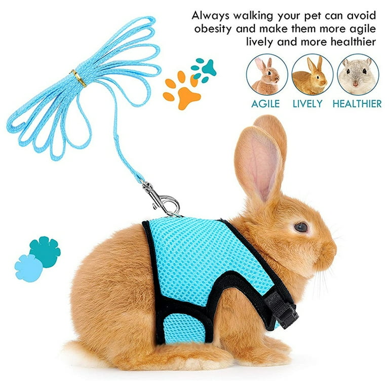 Harness 2025 for rabbit